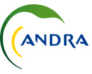 Logo Andra.png